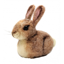 Load image into Gallery viewer, The Crafty Kit Company - Baby Bunny Needle Felting Kit