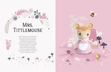 Load image into Gallery viewer, Peter Rabbit Crochet Toys
