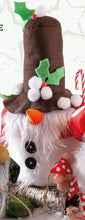Load image into Gallery viewer, Make a Gnome Workshop - Saturday 29th March 2025