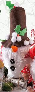 Make a Gnome Workshop - Saturday 29th March 2025