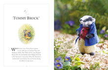 Load image into Gallery viewer, Knitting Peter Rabbit - 12 Toy Knitting Patterns from the Tales of Beatrix Potter