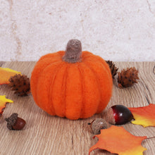 Load image into Gallery viewer, Needle Felting Kit- Pumpkin