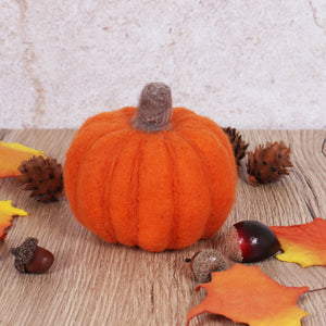 Needle Felting Kit- Pumpkin