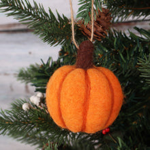 Load image into Gallery viewer, Needle Felting Kit - Autumnal - NEW