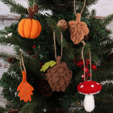 Load image into Gallery viewer, Needle Felting Kit - Autumnal - NEW
