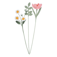 Load image into Gallery viewer, Crochet Kit - Blooms - NEW