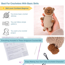 Load image into Gallery viewer, Crochet Kit - Amigarumi Capybara - NEW