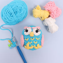 Load image into Gallery viewer, Crochet Kit - Beginners Amigarumi Owl - NEW