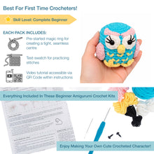 Load image into Gallery viewer, Crochet Kit - Beginners Amigarumi Owl - NEW