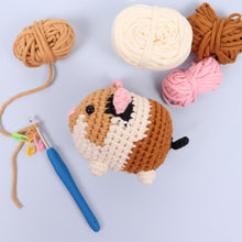 Load image into Gallery viewer, Crochet Kit - Beginners Amigarumi Guinea Pig - NEW