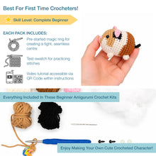 Load image into Gallery viewer, Crochet Kit - Beginners Amigarumi Guinea Pig - NEW