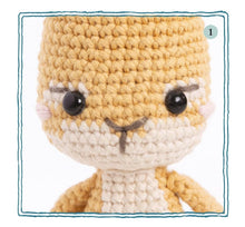 Load image into Gallery viewer, Peter Rabbit™ Crochet Kit: Includes materials and instructions for an heirloom amigurumi toy