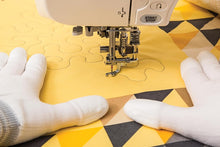 Load image into Gallery viewer, Free Motion Quilting - Tips, Techniques &amp; 104 designs