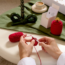 Load image into Gallery viewer, Ricorumi Crochet Advent Calender - 24 Days of Fun