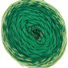 Load image into Gallery viewer, Ricorumi DK - Spin Spin - 24 Colours