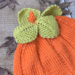 Pumpkin Hat Kit