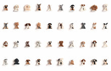 Load image into Gallery viewer, Edward&#39;s Menagerie Dogs Crochet - 65 Canine Crochet Patterns - UPDATED