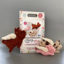 Load image into Gallery viewer, The Crafty Kit Company - Flying Pigs Needle Felting Kit