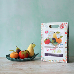 The Crafty Kit Company - Seasonal Fruit Needle Felting Kit