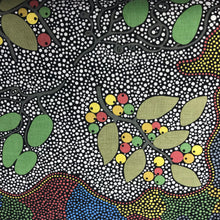 Load image into Gallery viewer, Women Gathering Bush Tucker - 100% Cotton