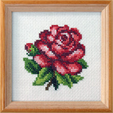 Load image into Gallery viewer, Mini Floral Cross Stitch Kits - 9 designs