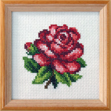 Load image into Gallery viewer, Mini Floral Cross Stitch Kits - 9 designs