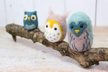 Load image into Gallery viewer, The Crafty Kit Company - Owl Family Needle Felting Kit