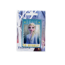 Load image into Gallery viewer, Frozen Applique Motifs