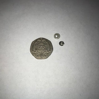 Pearl Bead Embellishment